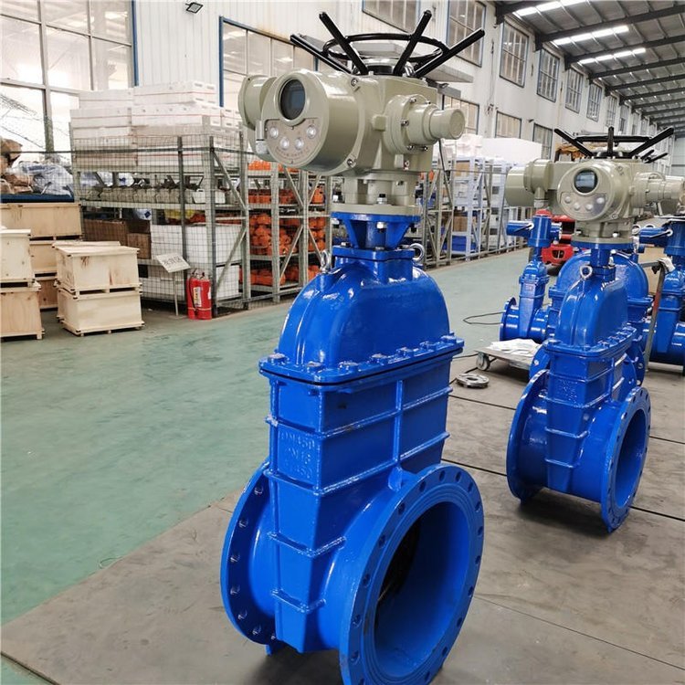 電動閘閥Z941h -64 DN500（石化行業、煉油廠、化工廠）