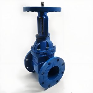 手動閘閥Z41T-16 DN50/DN65廠家直銷，上海發