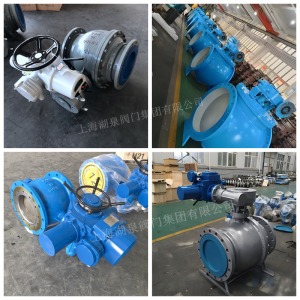 PQ940X-25C，DN800,PN25上裝立軸全通徑偏心半